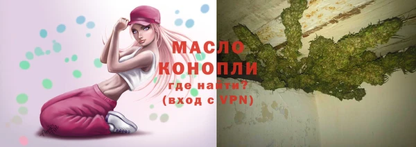 дживик Верхний Тагил