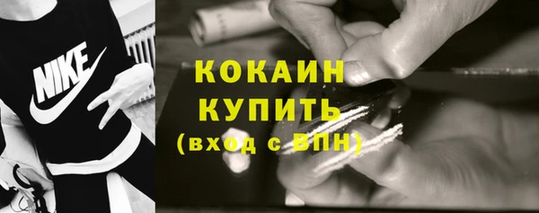 дживик Верхний Тагил