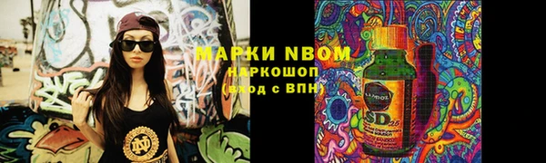 дживик Верхний Тагил