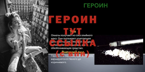 дживик Верхний Тагил